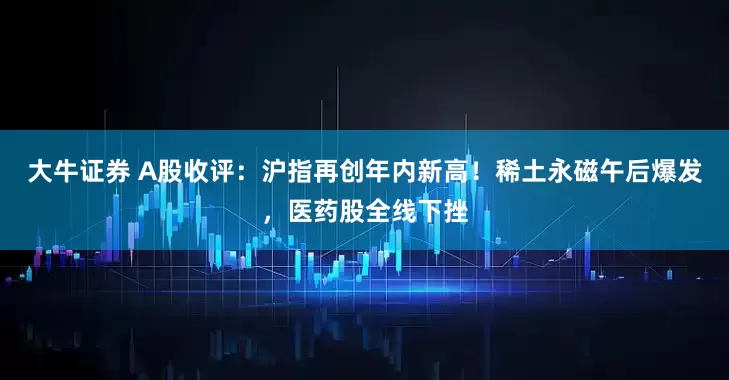 大牛证券 A股收评：沪指再创年内新高！稀土永磁午后爆发，医药股全线下挫