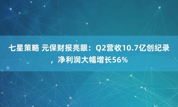 七星策略 元保财报亮眼：Q2营收10.7亿创纪录，净利润大幅增长56%